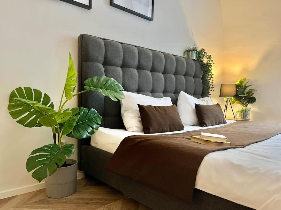Apartment Beautiful New Town Prag
